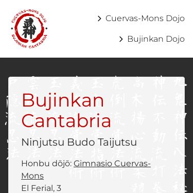 Screenshot of https://bujinkancantabria.ninja/