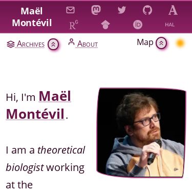 Screenshot of https://montevil.org/