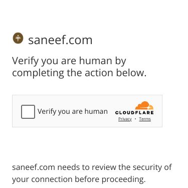 Screenshot of https://saneef.com/