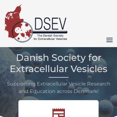 Screenshot of https://www.dsev.dk/