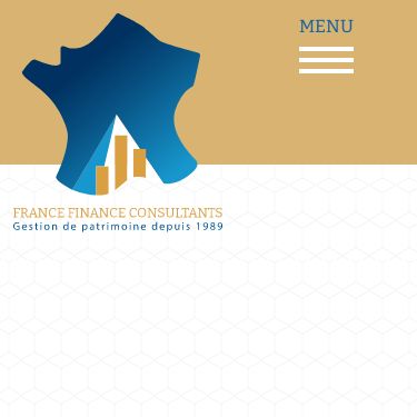 Screenshot of https://www.francefinanceconsultants.fr/