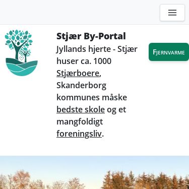 Screenshot of https://www.stjaer.net/
