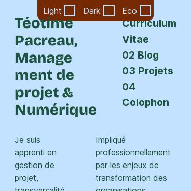 Screenshot of https://www.teotimepacreau.fr/